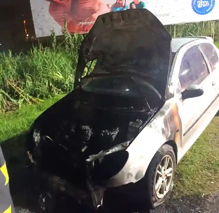 Se Prendió Fuego Un Auto En Camino Centenario 2299